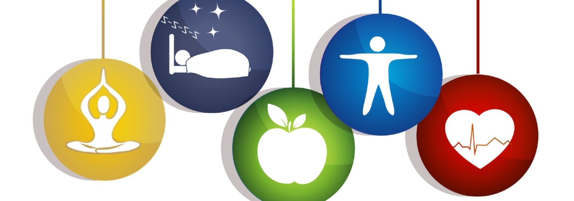 Physical Wellness KHSC Kingston Health Sciences Centre